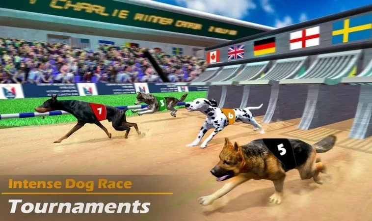 Cách chơi game nhanh Đua Chó Tại HM88